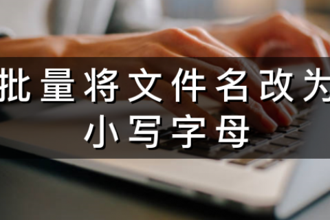 批量将文件名修改为小写字母